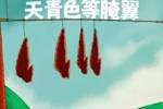 赛前 | 明晚祖昌 赛季收官战